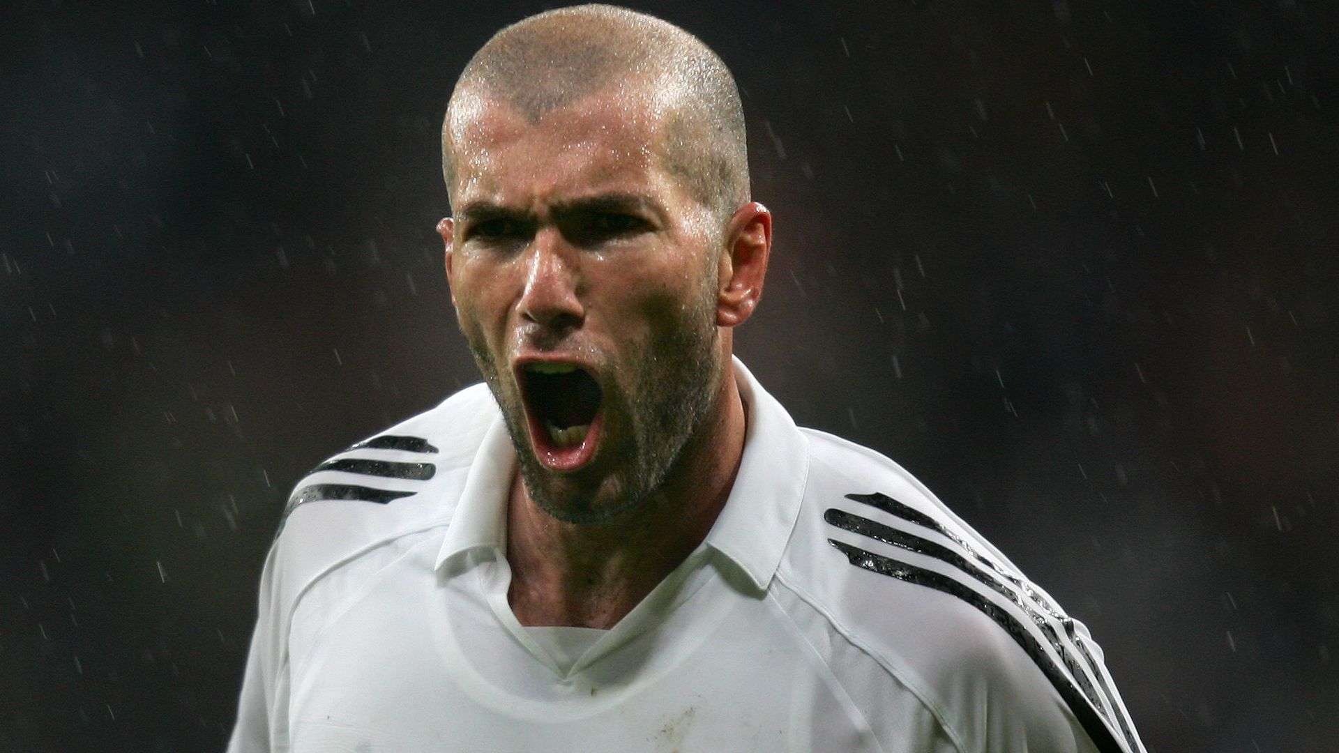 仅在球场上 仅在球场上